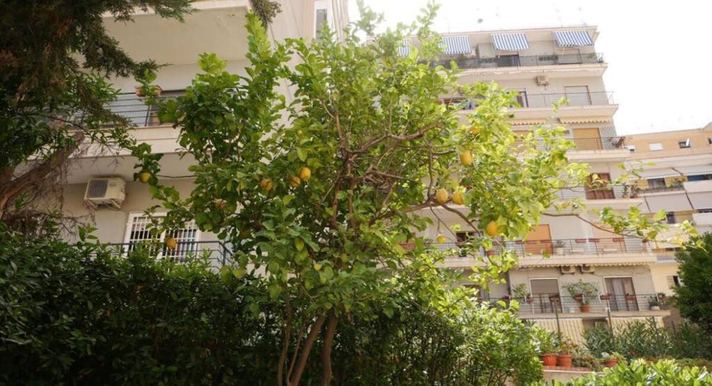 House With Garden And Parking Space In Mergellina نابولي المظهر الخارجي الصورة